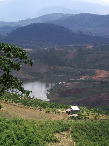 Mountain living in Phi Srun