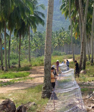 Ream fishing village weaving a net