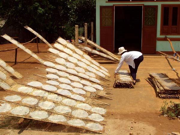 Rice paper drying