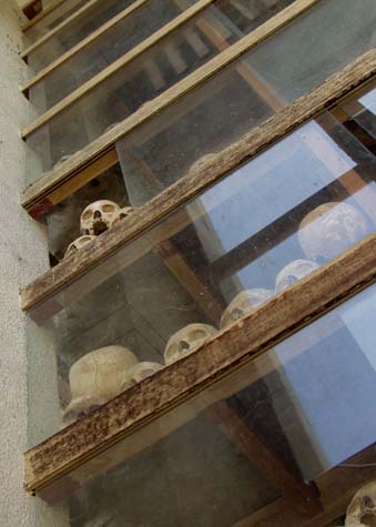 Shelves of skulls