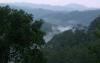 Natural forest in Vietnam