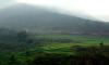 Rice terracing of Duc Trong