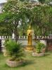 Wat Xieng Muan temple grounds