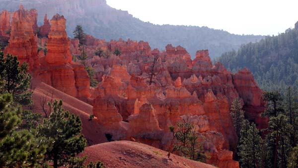 Among the Hoodoos