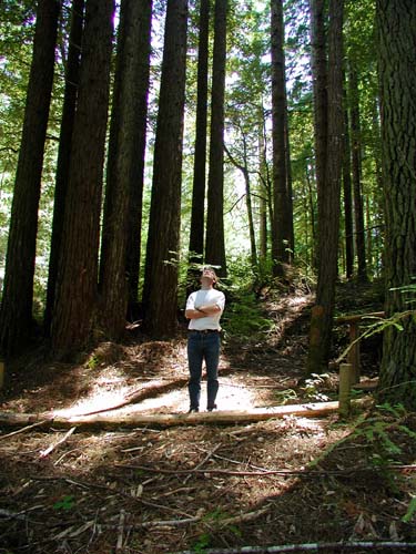 Photograph of a man ( Arno ) standing in a small clearing on a sunny day. He is looking up into the canopy ( out of view ) with his arms folded from within a bright spot of sun.