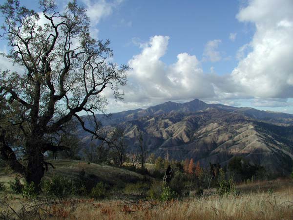 Big Sur Mountains