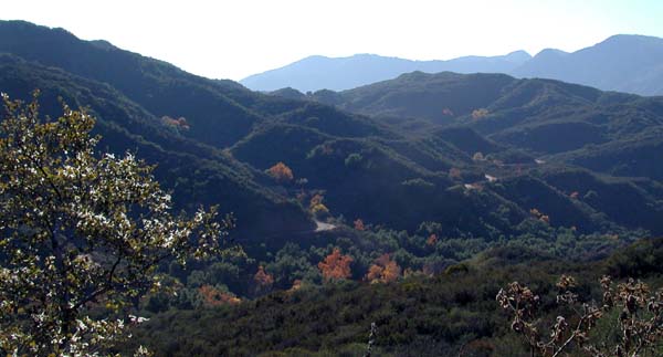 Country road, Filmore backcountry