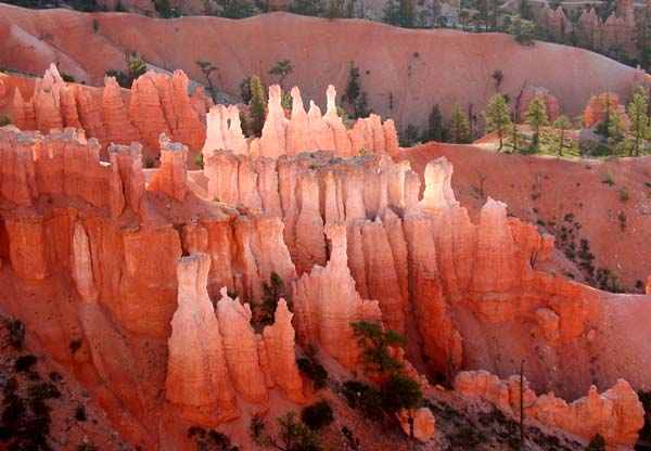 Hoodoos of Bryce Canyon