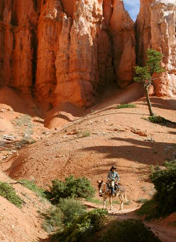 Horse rider in Bryce