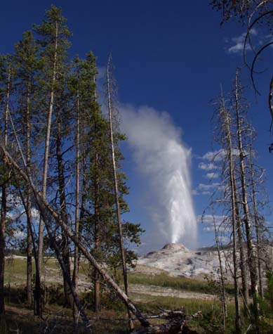 Lion group geyser, Yellowstone