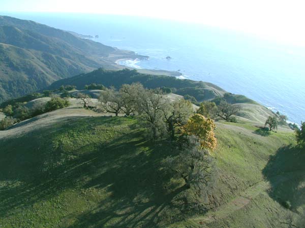 Looking down at lower launch