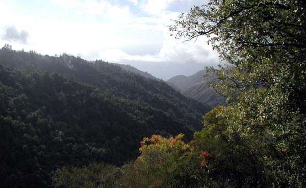 Overlook at Big Sur