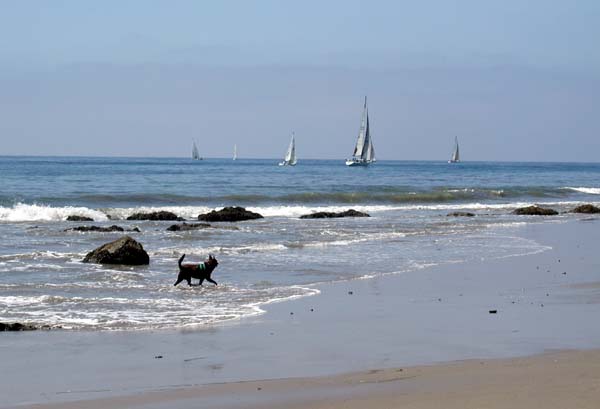 Pali and the sailboats