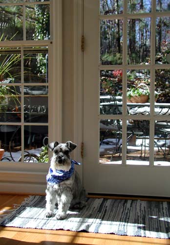 Portrait of Sophie in Atlanta