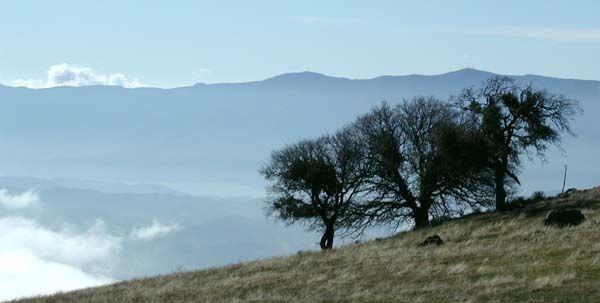 Santa Ynez's beautiful front-country