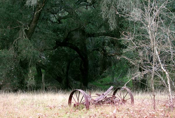 Stationary wagon