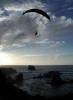 Chad soaring Sand Dollar