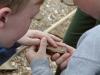 Examining a leaf fossil