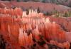 Hoodoos of Bryce Canyon