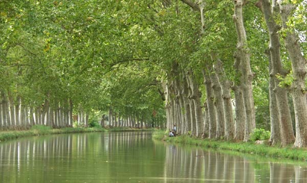 Canal fishing