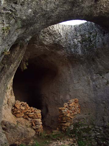 Enchanted tunnel's entrance