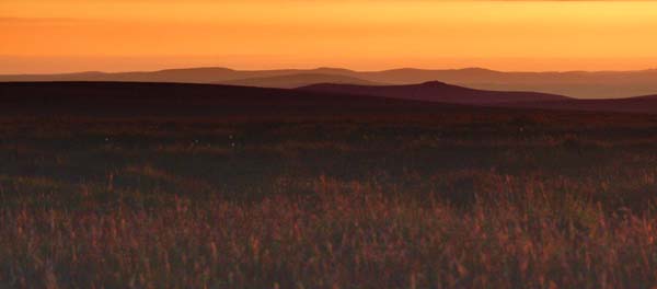 Endless sunset of the moors