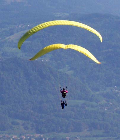 Oddly shaped gliders