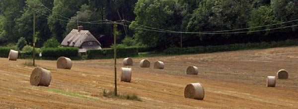 Thatched farm