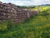 Hadrian's wall