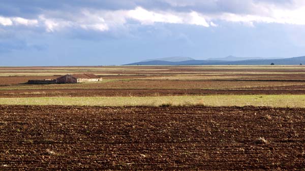 Vast plains