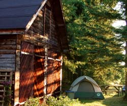 Lloyd's Bunk Barn and tent