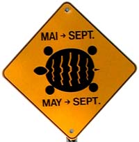 Turtle Sign