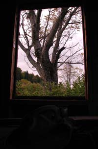 Ski warming hut window