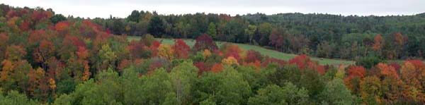 Nova Scotia Colors