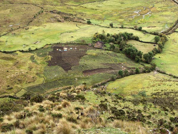 Remote farm Remote farm