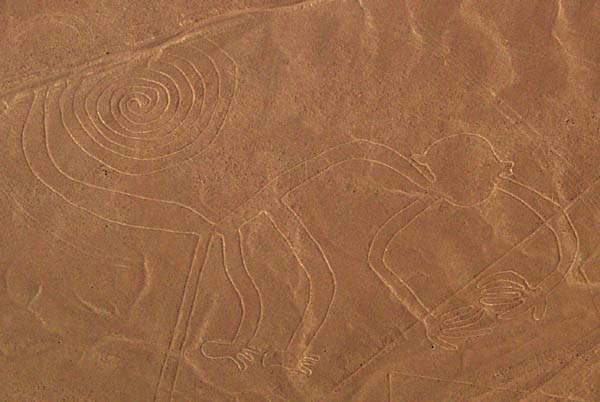 Nazca monkey Nazca monkey