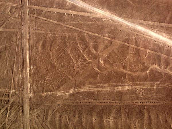 Nazca drawings Nazca drawings
