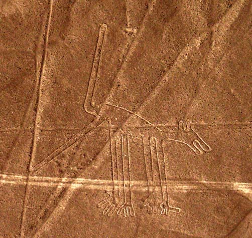Nazca dog Nazca dog