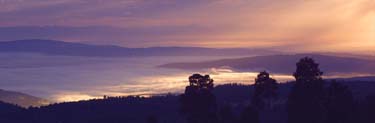 Alerce monument lookout at sunrise