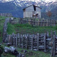 Lago Vidal Gormaz farmscape
