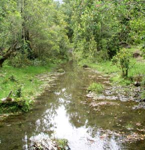 Swim to Comacho? Swim to Comacho