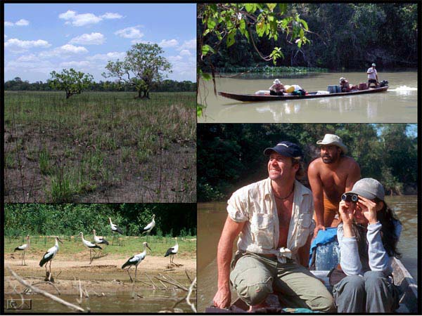 Plains of the amazonas region in April - the dry season.  The bongo, fully loaded with camping and photographic equipment.  Birds along the shore.  Marco, Luis and Maria bird watching.  