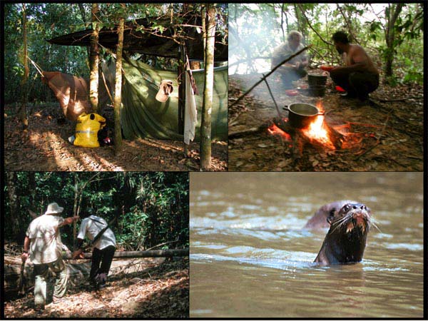 Upper left - Hammock camp.  Lower left - Marco playing a trick on Alberto.  Upper right - the nightly campfire.  Lower right - a pair of amazon river otters.