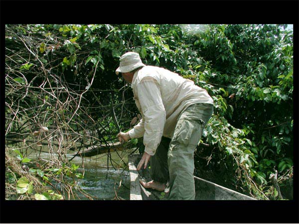 Marco cutting through vines with a machete.