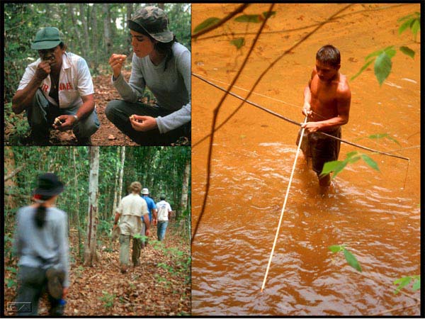 Alberto and Maria eating wild fruit.  Walking in the open forest floor.  Hoti man hunting fish with a bow and arrow.