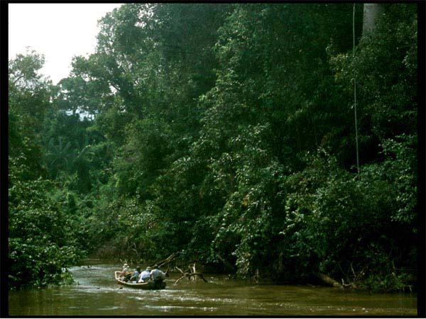 Exploring the piranha lagoon