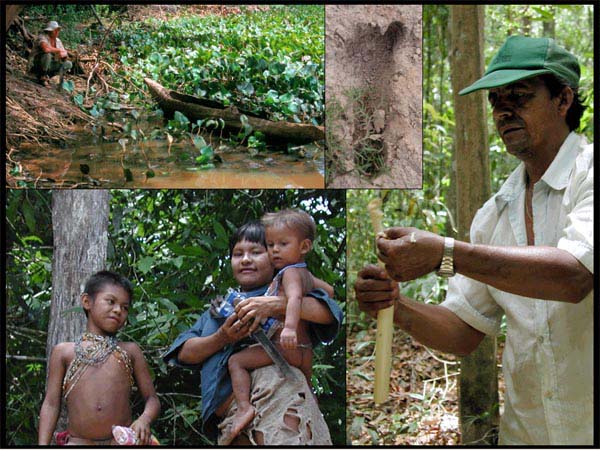 Hoti unopened bongo, Hoti footprint, Alberto showing us more wild food, Hoti mother and children.