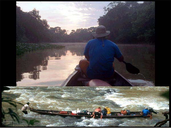 Luis paddling the front of the bongo.  Bringing in the bongo down the rapids the next day. 