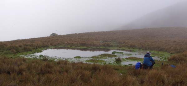 Pond at turning point for Puncuyoc
