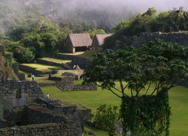 Grounds of Machu Picchu